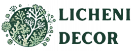 LicheniDecor.ro - Artă din natura.