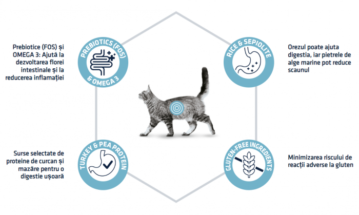 ADVANCE Adult Cat Gastroenteric Sensitive, Hrana Uscata Pisici Adulte, 7.5 Kg [4]
