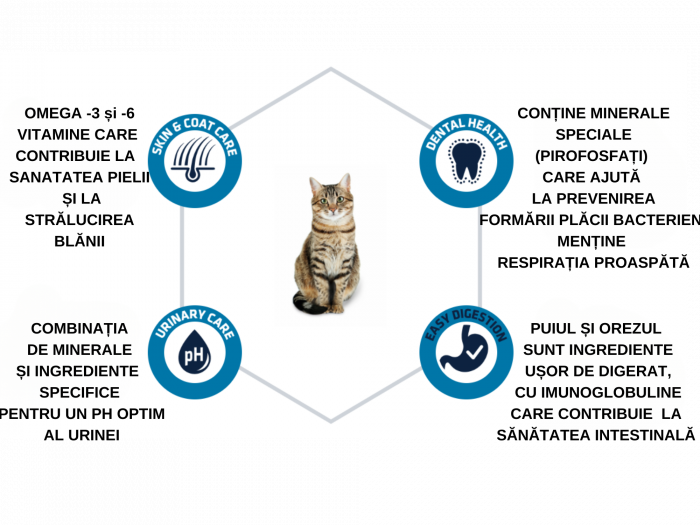 ADVANCE Adult Cat Pui si Orez, Hrana Uscata Pisici Adulte, 15 Kg [5]