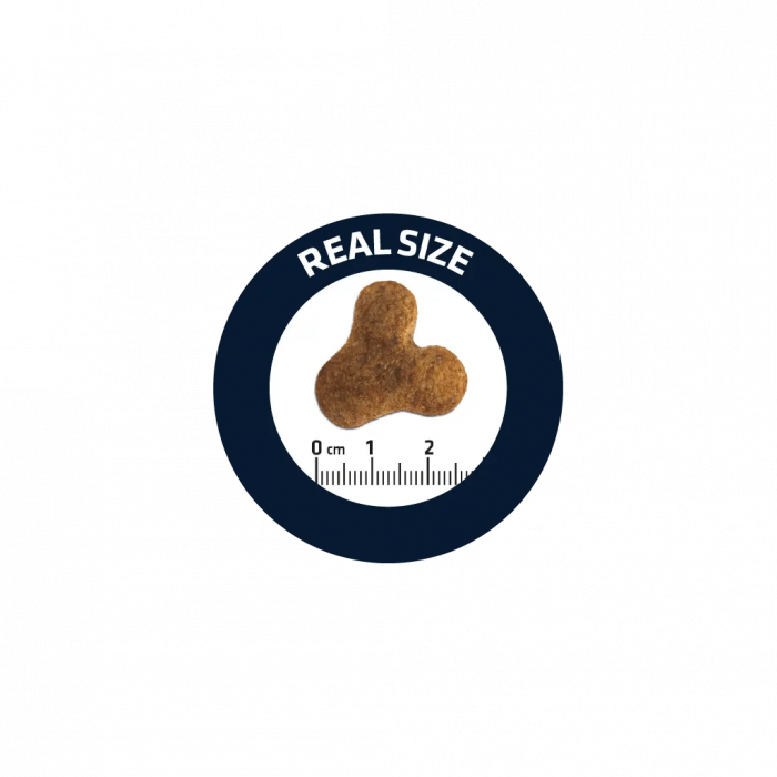 ADVANCE Adult Dog Bulldog Francez, Hrana Uscata Caini Adulti, 7.5 kg [4]