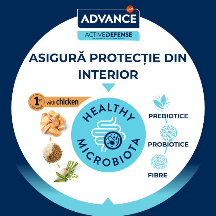 ADVANCE Dog Adult Mini, Hrana Uscata Caini Adulti Talie Mica, 7 kg [5]