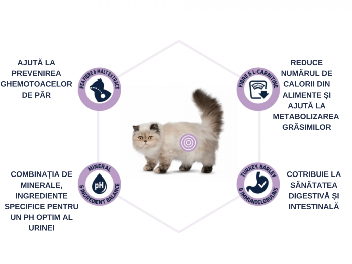 ADVANCE Adult Cat Hairball Sterilized, Hrana Uscata Pisici Adulte, Curcan, 10 Kg [5]