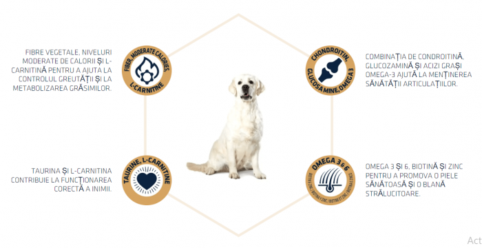 ADVANCE Adult Dog Labrador & Golden Retriever,  Hrana Uscata Caini Adulti, 12 kg [5]