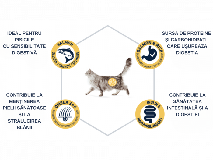ADVANCE Adult Cat Sensitive Care Somon si Orez, Hrana Uscata Pisici Adulte, 10 Kg [5]