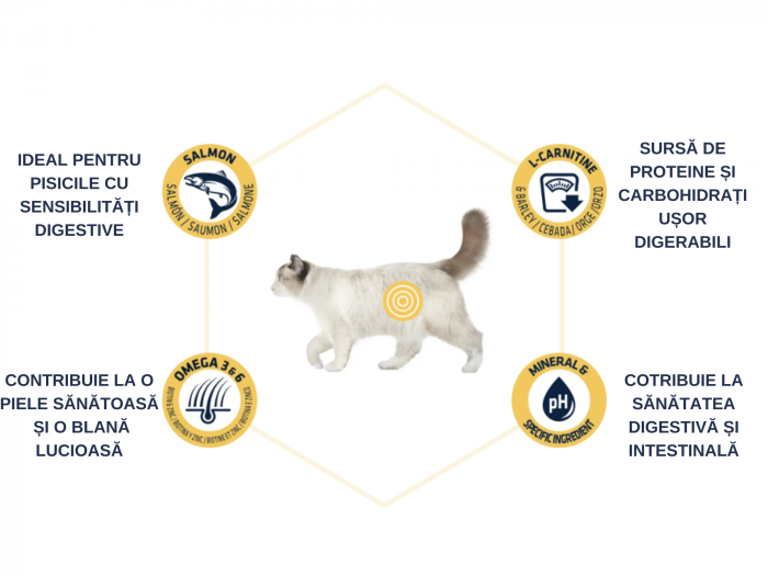 ADVANCE Adult Cat Sensitive Care Sterilized Somon, Hrana Uscata Pisici Adulte, 10 Kg [6]