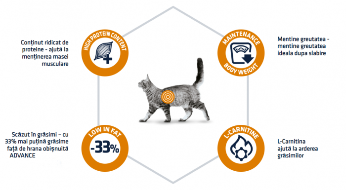 ADVANCE Adult Cat Weight Balance, Hrana Uscata Pisici Adulte (Controlul Greutatii), 8 kg [4]