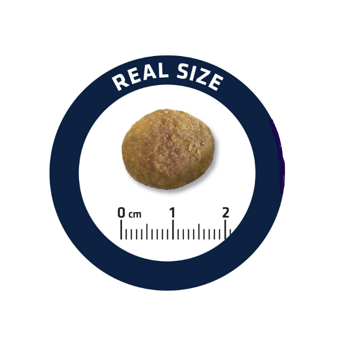 ADVANCE Adult Dog Weight Balance Medium/Maxi, Hrana Uscata Caini Adulti (Controlul Greutatii), 15 kg [3]