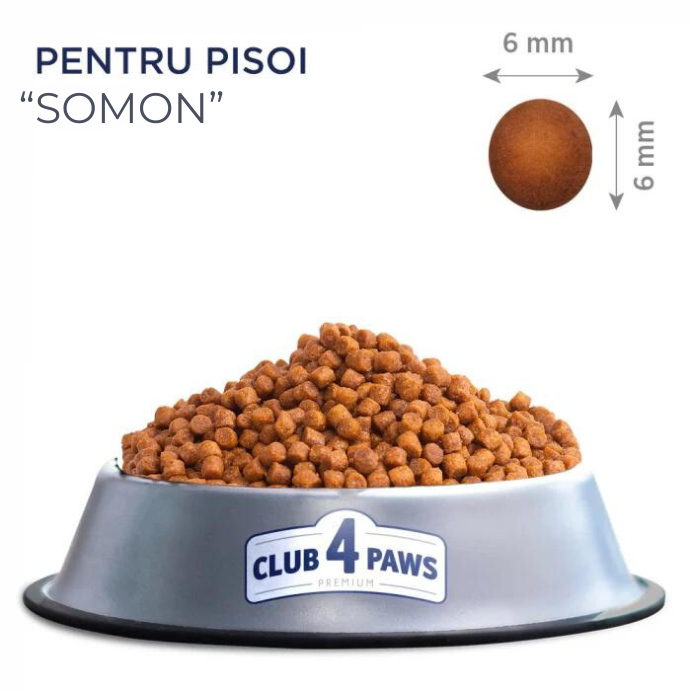 CLUB 4 PAWS Kitten cu Somon,  Hrana Uscata Pisici Junior, 5 kg [2]