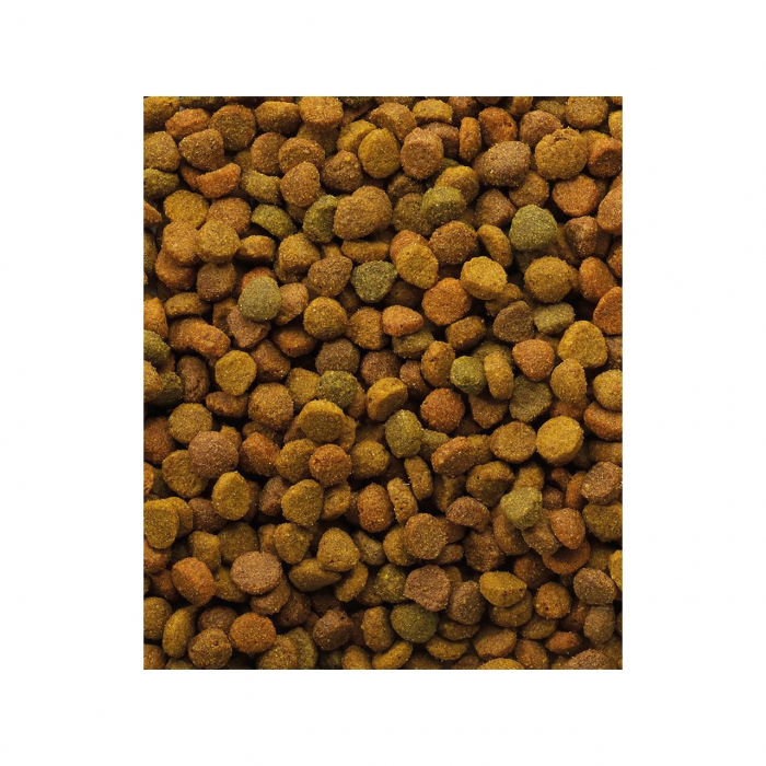 oke variety 10 kg [2]