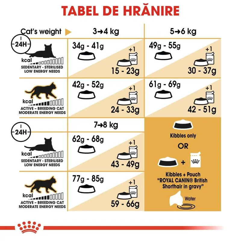 Royal Canin British Shorthair Adult, Hrana Uscata Pisici, 10 Kg [6]