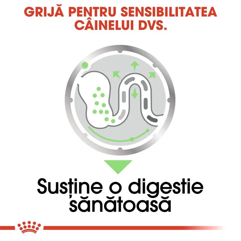 Royal Canin Digestive Care, Hrana Umeda Caini Adulti , Confort Digestiv (pate), 12 x 85 g [6]