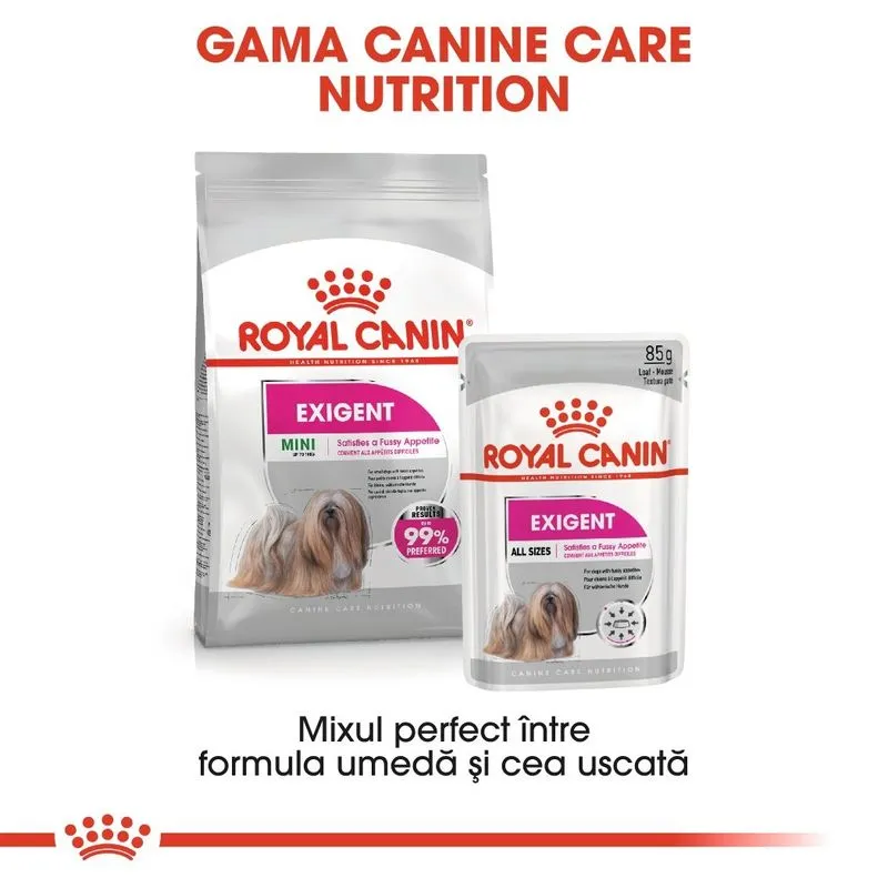 Royal Canin Exigent, Hrana Umeda Caini Adulti, Apetit Capricios (pate), 12 X 85g [5]