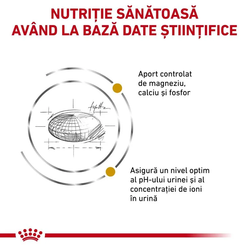Royal Canin Feline Urinary S/O, Hrana Uscata Pisici Adulte, 7 kg [3]
