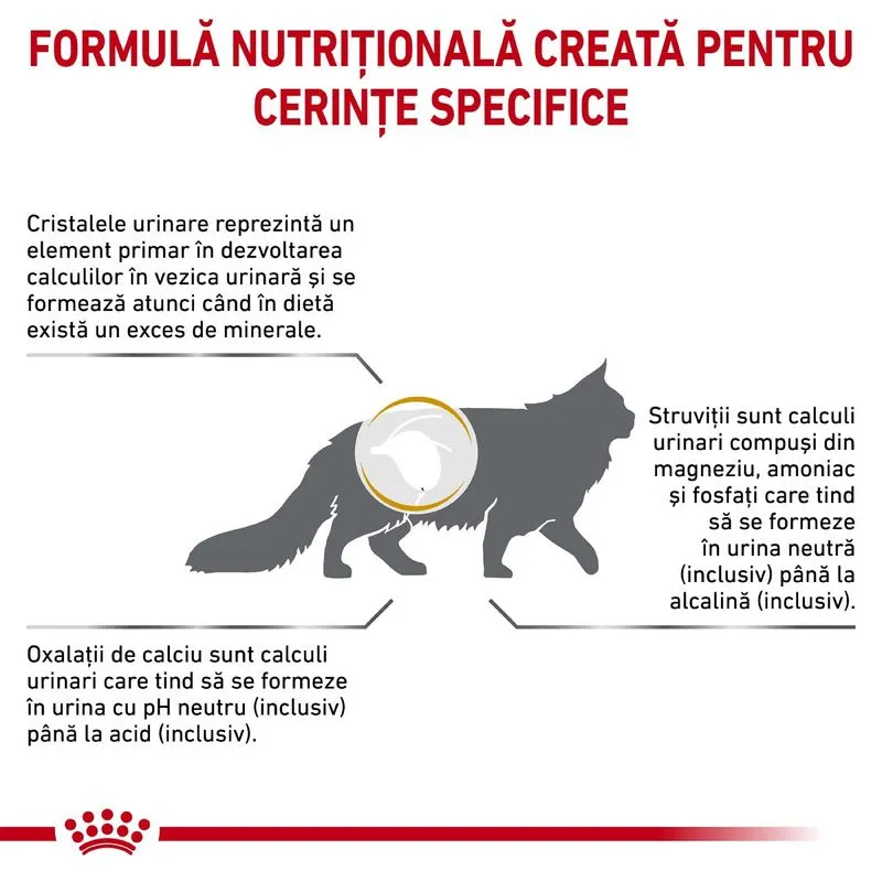 Royal Canin Feline Urinary S/O, Hrana Uscata Pisici Adulte, 7 kg [4]