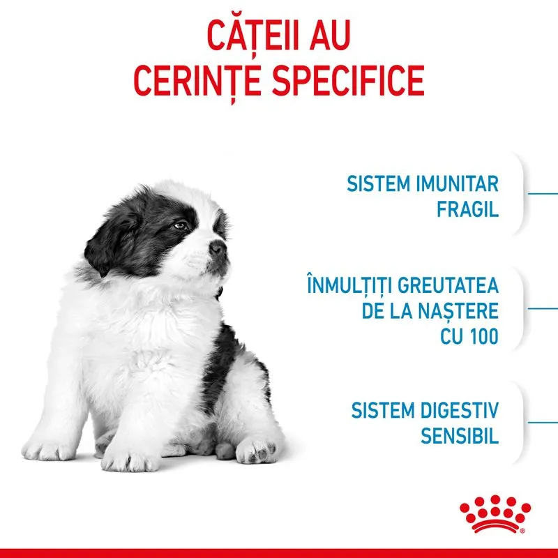 ROYAL CANIN Giant Puppy, Hrana Uscata Catei Junior, Etapa 1 de crestere, 15kg [4]