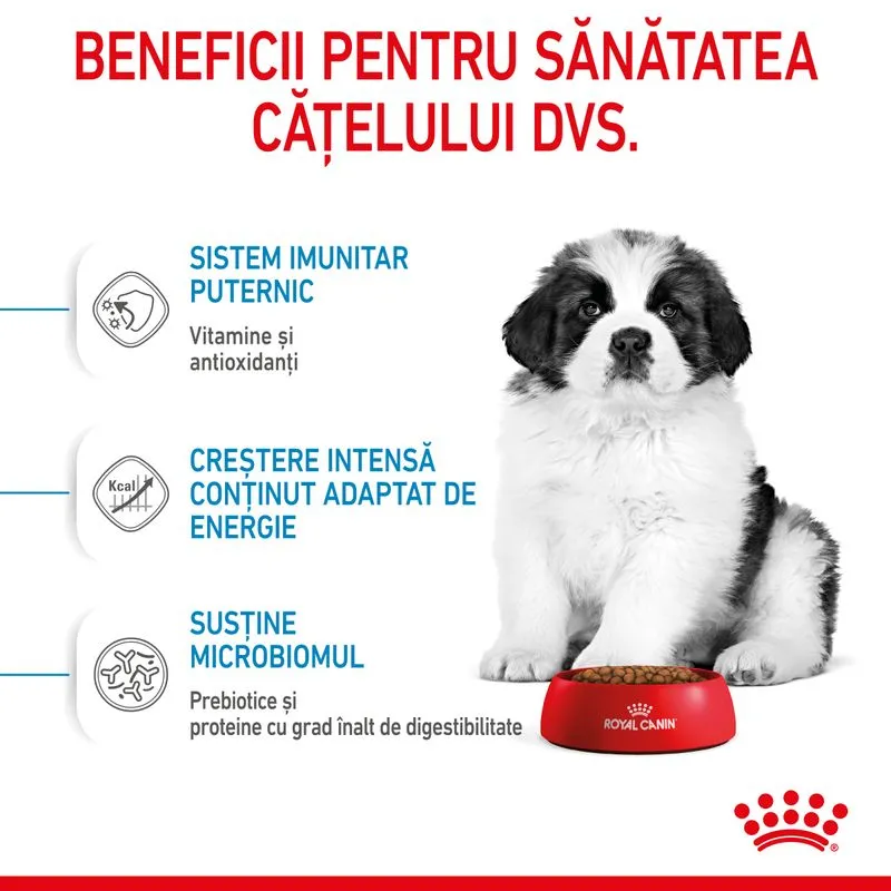 ROYAL CANIN Giant Puppy, Hrana Uscata Catei Junior, Etapa 1 de crestere, 15kg [5]