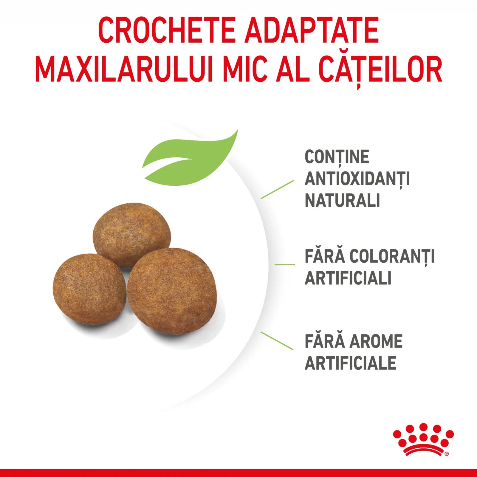 ROYAL CANIN Giant Puppy, Hrana Uscata Catei Junior, Etapa 1 de crestere, 15kg [3]