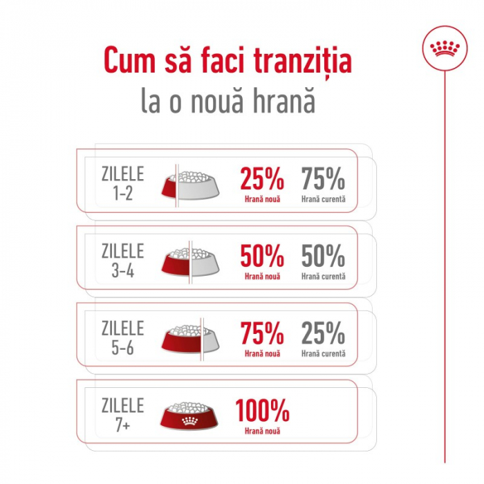 Royal Canin Mini Adult Dog, Hrana Uscata Caini Adulti Talie Mica,  8+1 kg GRATIS [5]