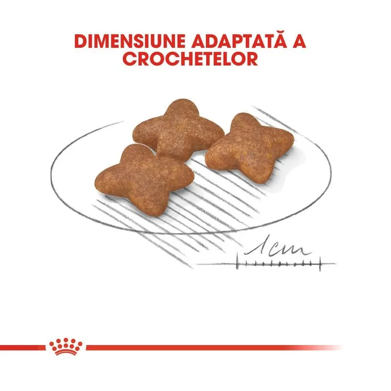 Royal Canin Mini Adult, Hrana Uscata Caini Adulti Talie Mica, 4 kg [3]
