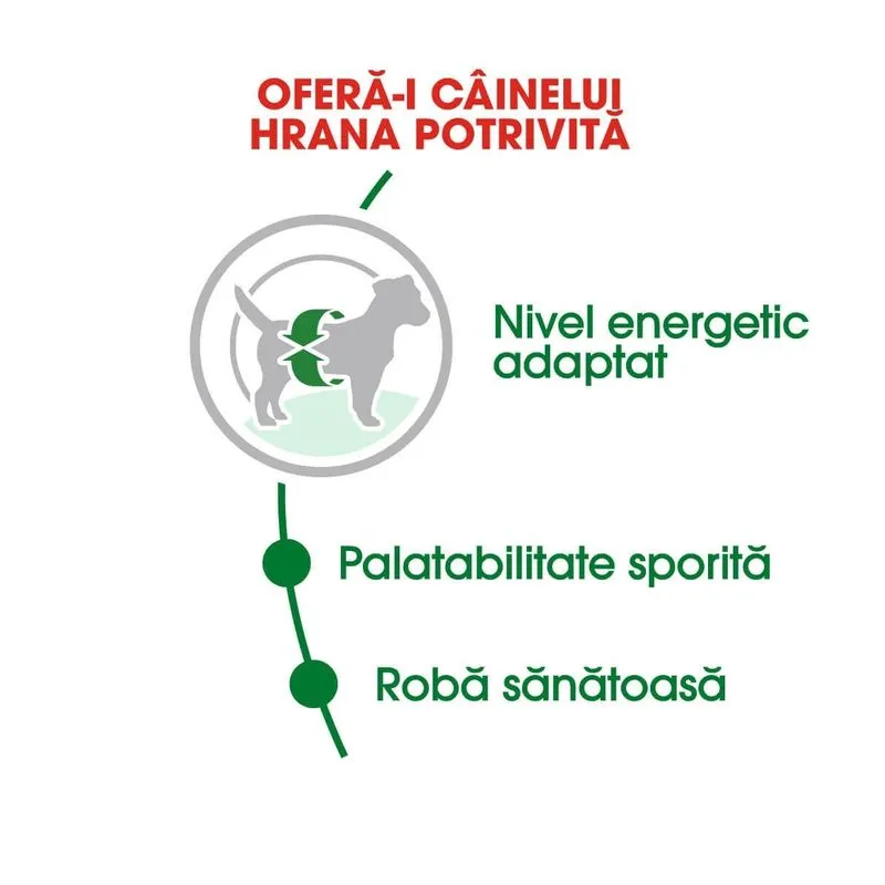 Royal Canin Mini Adult, Hrana Uscata Caini Adulti Talie Mica, 4 kg [4]