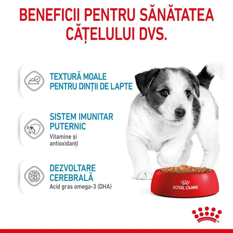 Royal Canin Mini Puppy, Hrana Umeda Catei Junior (in sos), 12x85 g [4]
