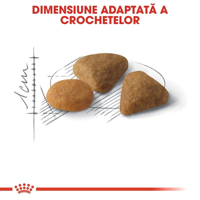 Royal Canin Savour Exigent,  Hrana Uscata Pisici Adulte, 2 kg [3]