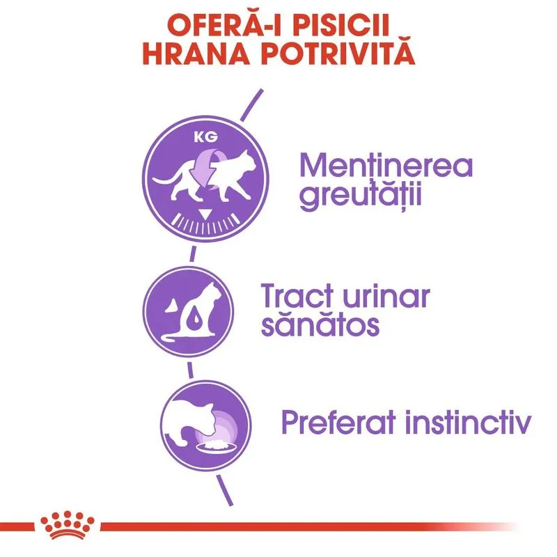 Royal Canin Sterilised Adult Cat, Hrana Umeda Pisici Adulte Sterilizate (in sos), 12 x 85 g [4]