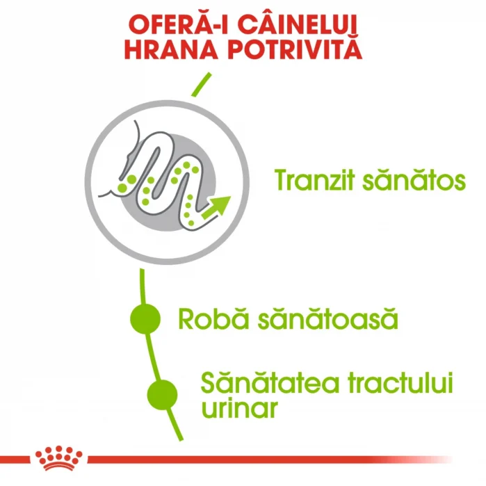 Royal Canin X-Small Dog, Hrana Uscata Caini Adulti Talie Foarte Mică, 3 kg [4]