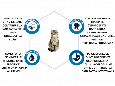 ADVANCE Adult Cat Pui si Orez, Hrana Uscata Pisici Adulte, 15 Kg [4]