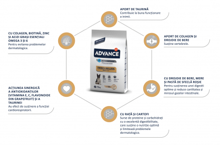 ADVANCE Adult Dog Bulldog Francez, Hrana Uscata Caini Adulti, 7.5 kg [4]