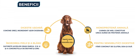 ADVANCE Dog Sensitive Care Miel si Orez, Hrana Uscata Caini Adulti, 12 kg [3]