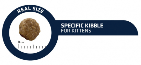 ADVANCE Kitten, Hrana Uscată Pisici Junior, 10 Kg [2]