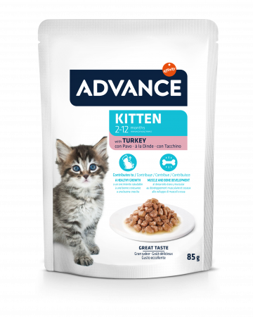 ADVANCE Kitten Hrana Umeda cu Curcan 85g [2]