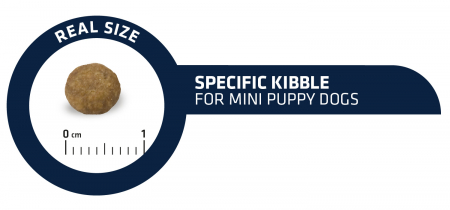 ADVANCE Dog Puppy Mini, Hrană Uscată Câini Junior Talie Mică, 7 kg [3]