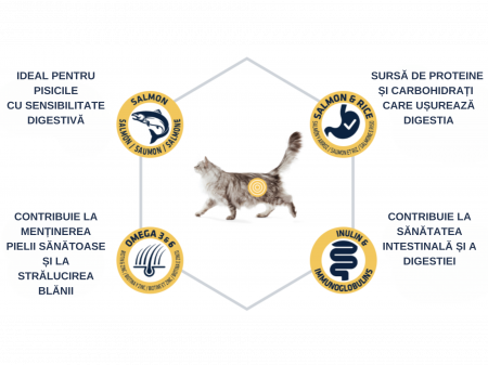 ADVANCE Adult Cat Sensitive Care Somon si Orez, Hrana Uscata Pisici Adulte, 10 Kg [4]