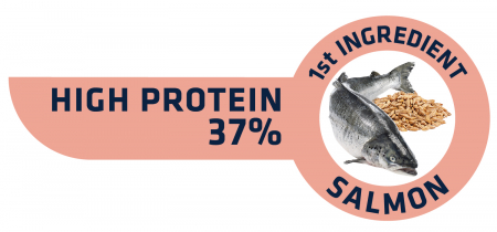 ADVANCE Adult Cat Sensitive Care Sterilized Somon, Hrana Uscata Pisici Adulte, 10 Kg [3]