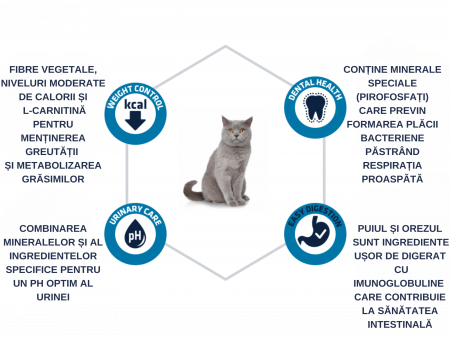 ADVANCE Sterilized Adult Cat Curcan, Hrana Uscata Pisici Adulte Sterilizate, 15kg [4]