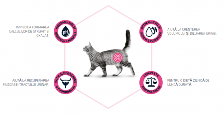 ADVANCE Adult Cat Urinary,  Hrana Uscata Pisici Adulte, 8 Kg [3]