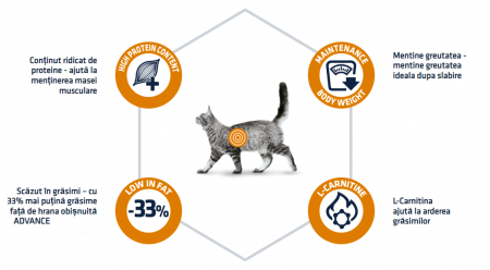 ADVANCE Adult Cat Weight Balance, Hrana Uscata Pisici Adulte (Controlul Greutatii), 8 kg [3]