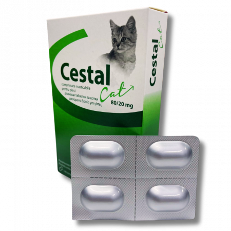 Antiparazitare Interne si Externe - Cestal Cat Chew, Antiparazitar Intern Pisici, 4 tablete