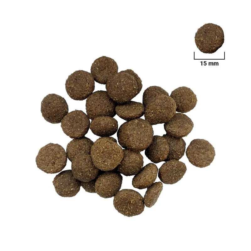 For Dog Maxi Adult, Hrana Uscata Caini Adulti Talie Mare, 10 kg [1]