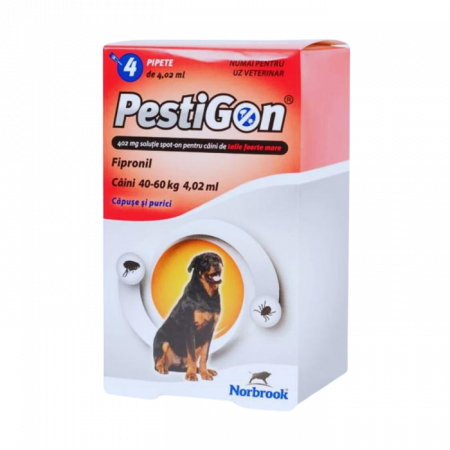 CÂINI - PestiGon Dog XL (40-60 kg) - 4 pipete