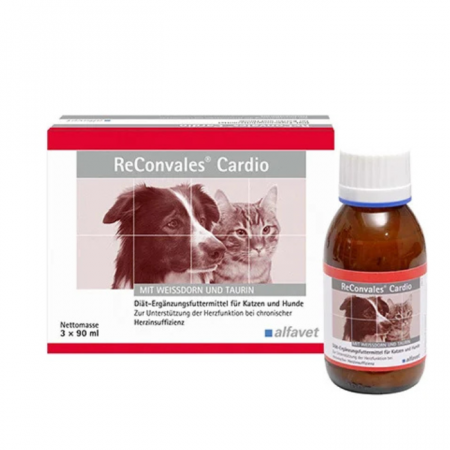 Afecțiuni Cardio - Reconvales Cardio, Supliment Sustinerea Functiei Cardiace si Circulatorii, 90 ml
