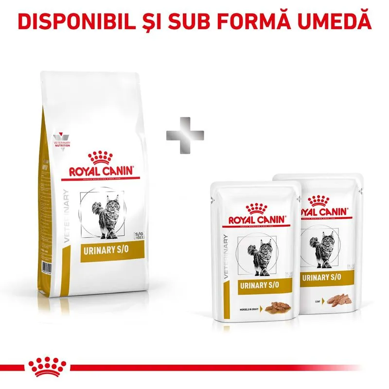 Royal Canin Feline Urinary S/O, Hrana Uscata Pisici Adulte, 7 kg [1]