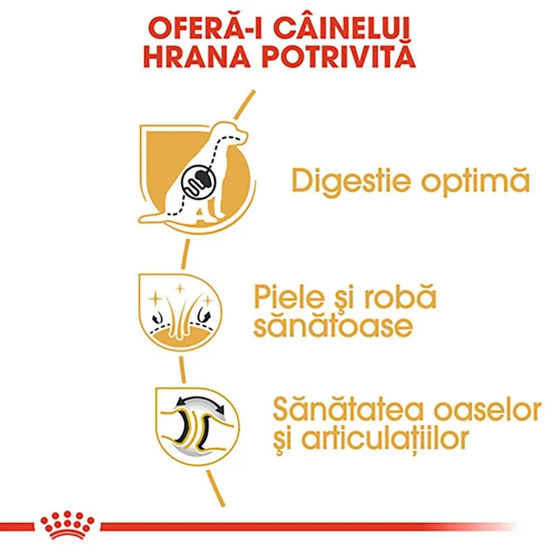 ROYAL CANIN Ciobanesc German, Hrana Uscata Caini  Adulti,  11kg [3]