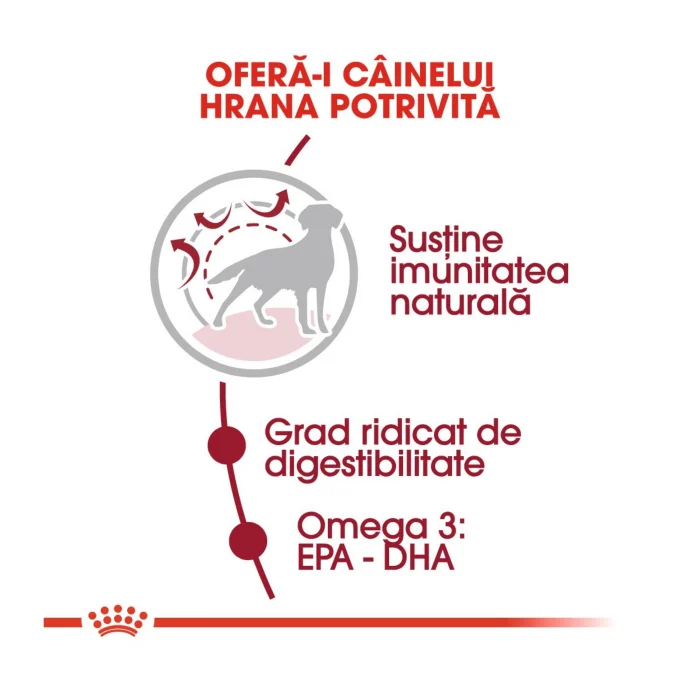 Royal Canin Medium Adult Dog, Hrana Uscata Caini Adulti Talie Medie, 15+3 Kg GRATIS [3]
