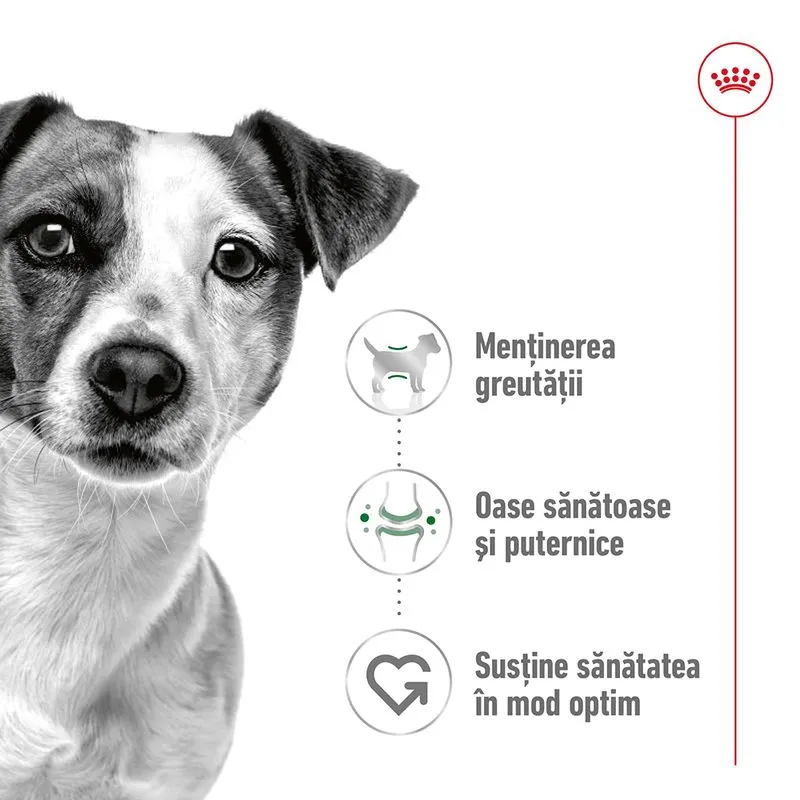 Royal Canin Mini Adult Mousse, Hrana Umeda Caini Adulti Talie Mica (pate), 195 g [1]