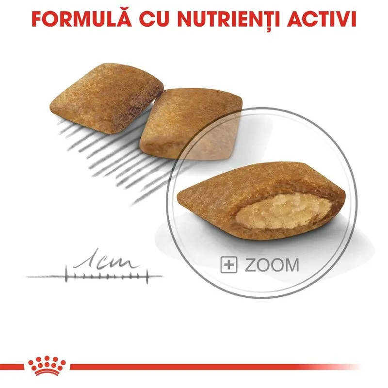 Royal Canin Mini Exigent, Hrana Uscata Caini Adulti Talie Mica, Apetit capricios, 3kg [2]