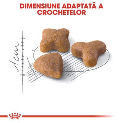 Royal Canin Regular Sensible 33, Hrana Uscata Pisici Adulte,10 kg [2]