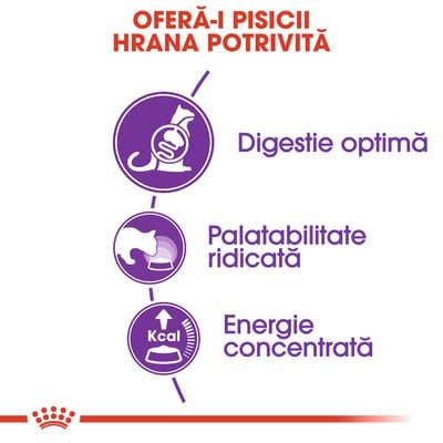 Royal Canin Regular Sensible 33, Hrana Uscata Pisici Adulte,10 kg [3]